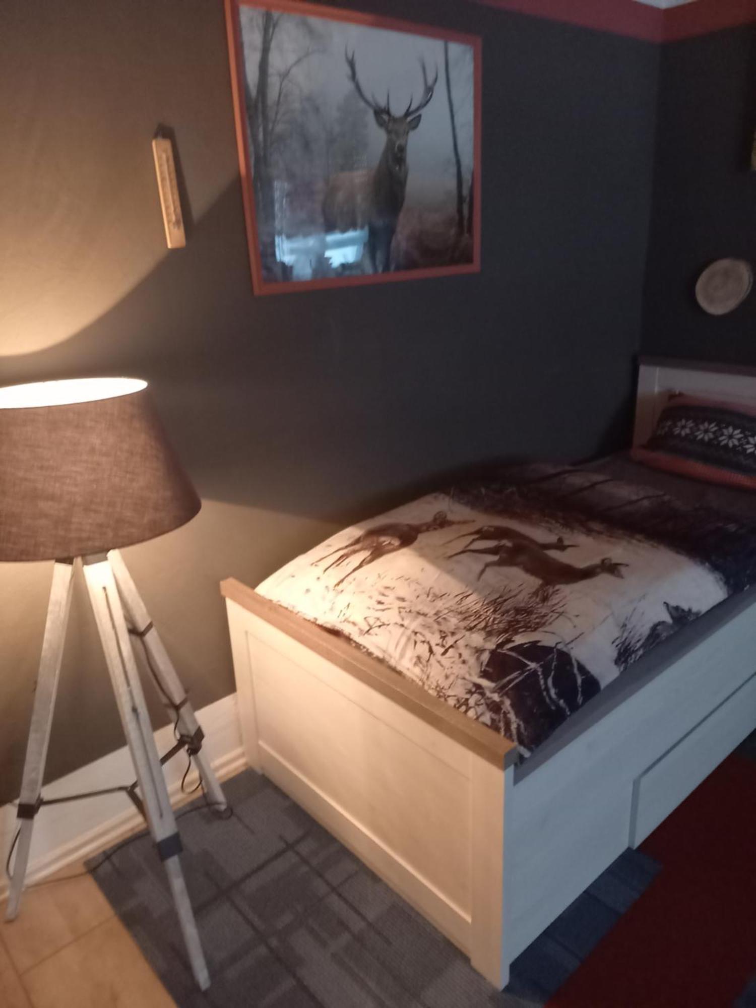 Monteur- Und Ferienwohnung Waldrauschen Fehrenbach Ngoại thất bức ảnh