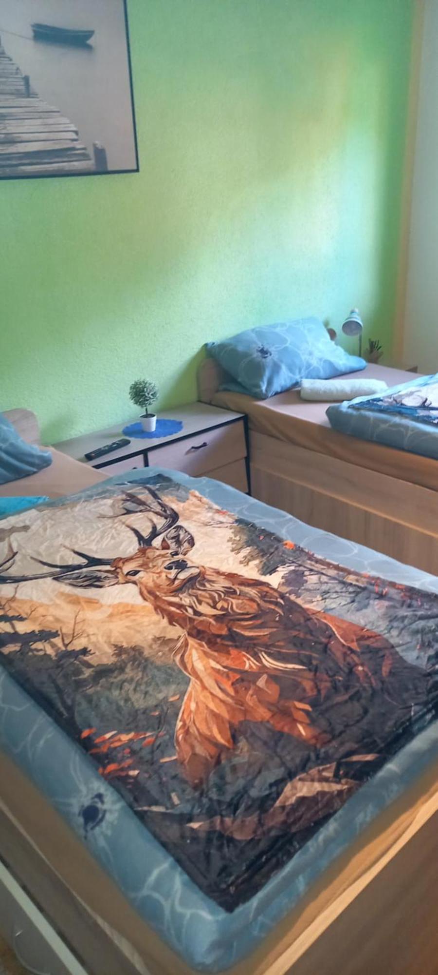 Monteur- Und Ferienwohnung Waldrauschen Fehrenbach Ngoại thất bức ảnh