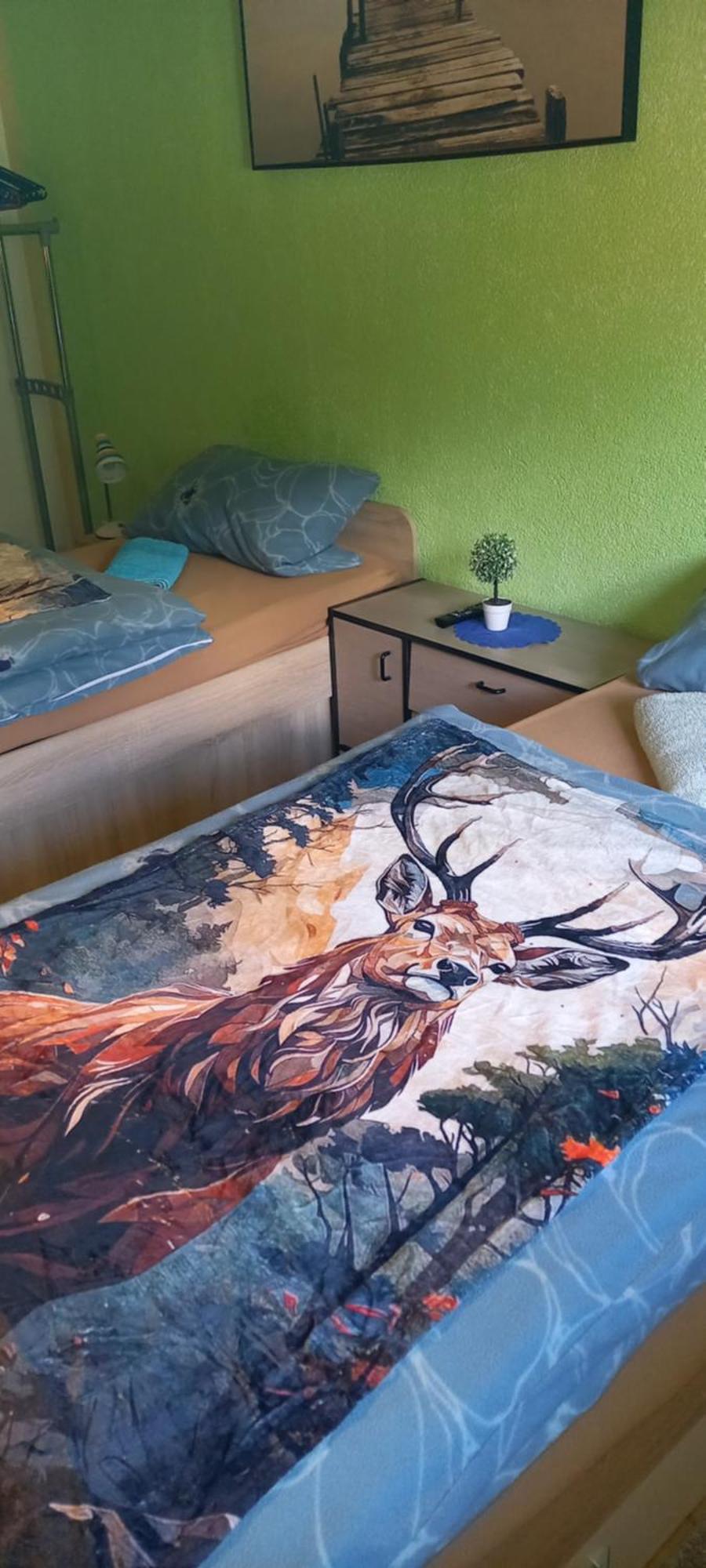 Monteur- Und Ferienwohnung Waldrauschen Fehrenbach Ngoại thất bức ảnh