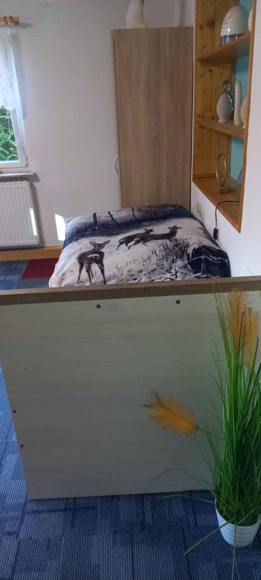 Monteur- Und Ferienwohnung Waldrauschen Fehrenbach Ngoại thất bức ảnh